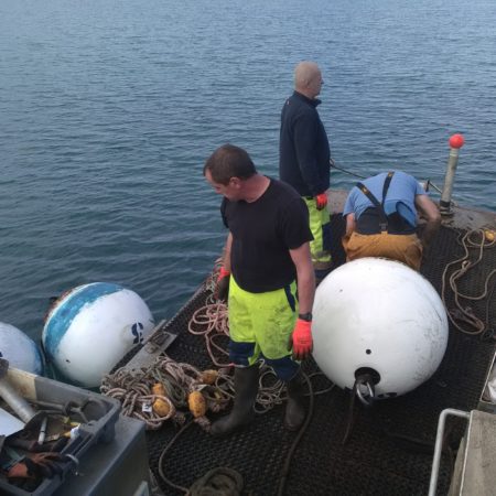 Hivernage des mouillages à Tregastel avec le personnel de la mairie Octobre 2017