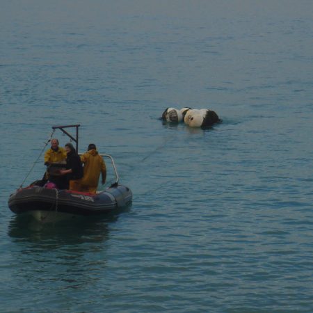 Zodiac pour interventions Légères