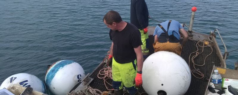 Hivernage des mouillages à Tregastel avec le personnel de la mairie Octobre 2017